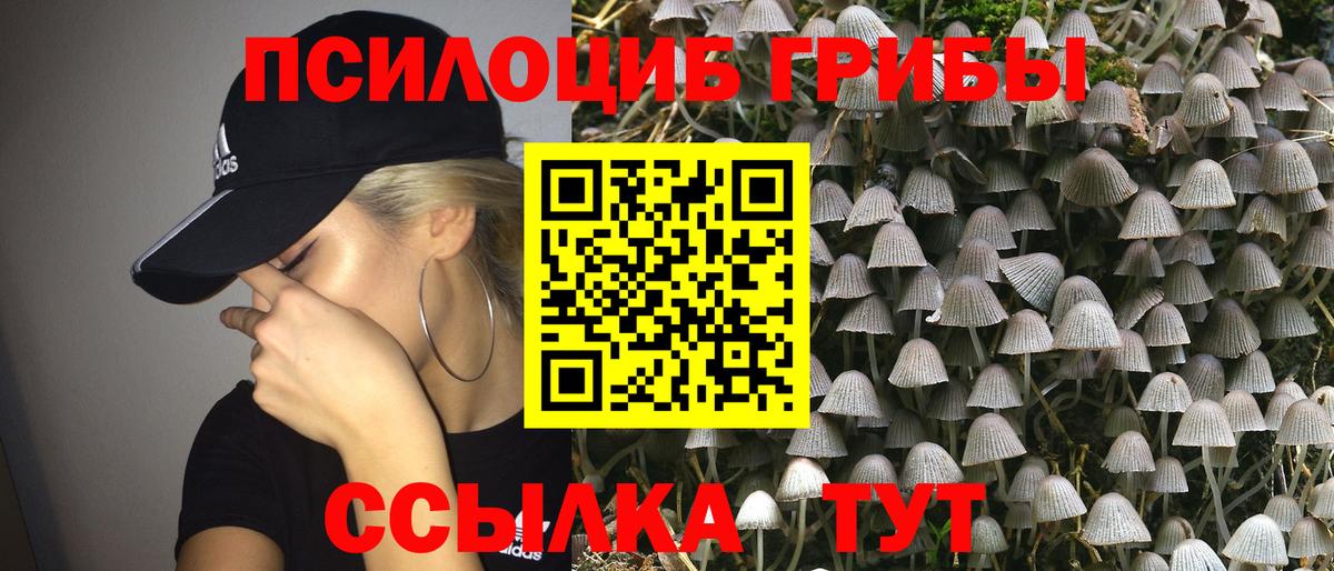 Псилоцибиновые грибы MAGIC MUSHROOMS  Вход с VPN  Псилоцибиновые грибы ЛСД  Чебоксары 
